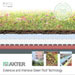 Axter green roofs