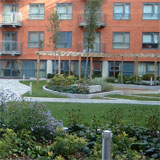 Devonshire Green, intensive Axter roof gardens