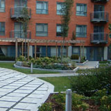 Devonshire Green, intensive Axter roof garden
