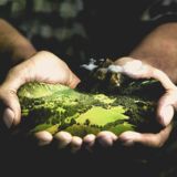 Axter and the environment