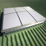 Rooflight