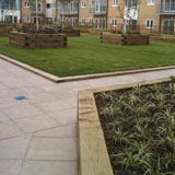 Axter intensive green roof